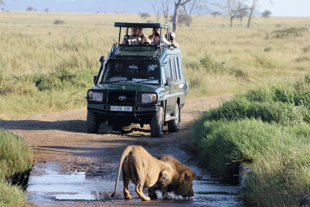 2 days game drive & boat cruise in Akagera wildlife park