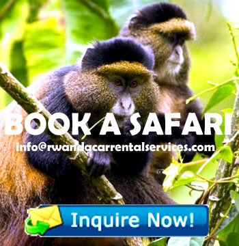 book-rwanda-safari