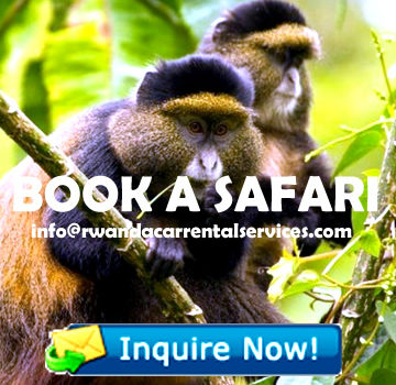 book-rwanda-safari