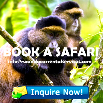 book-rwanda-safari