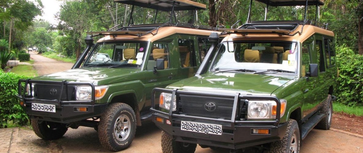 safari cars