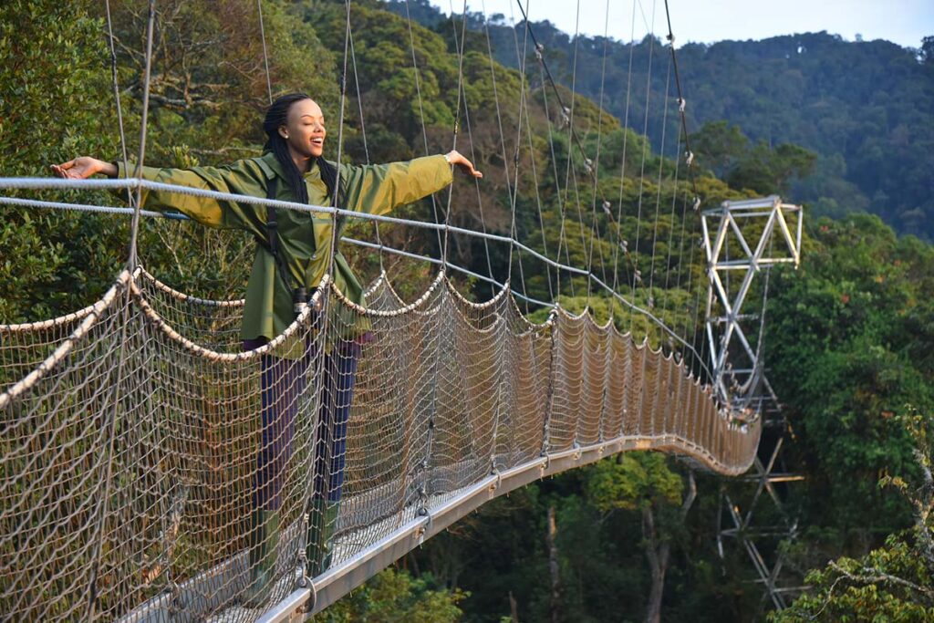 Walk & soar above Nyungwe forest