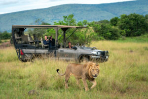 Akagera game drive- self drive trips