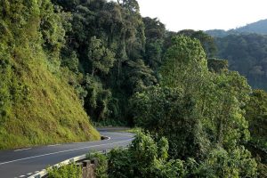 Driving from Kigali to Nyungwe