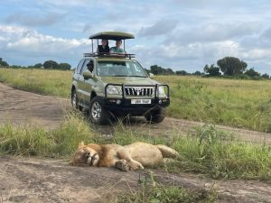Game drive in Uganda with Land cruiser