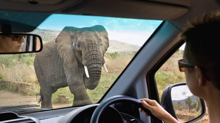 Self drive Rwanda