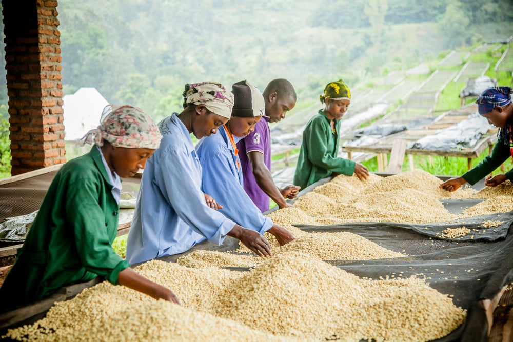 rwanda-coffee-makers | Rwanda Car Rental Services Rwanda coffee