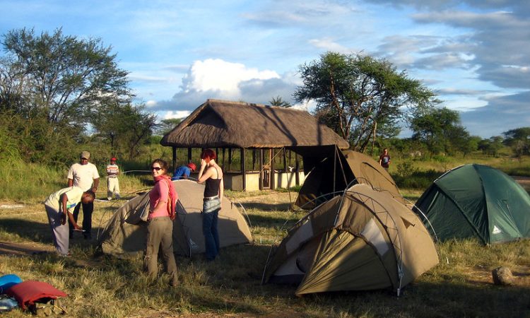 shakani-campsite | Rwanda Car Rental Services rooftop tent rwanda
